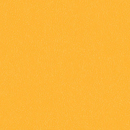 3096_00_279