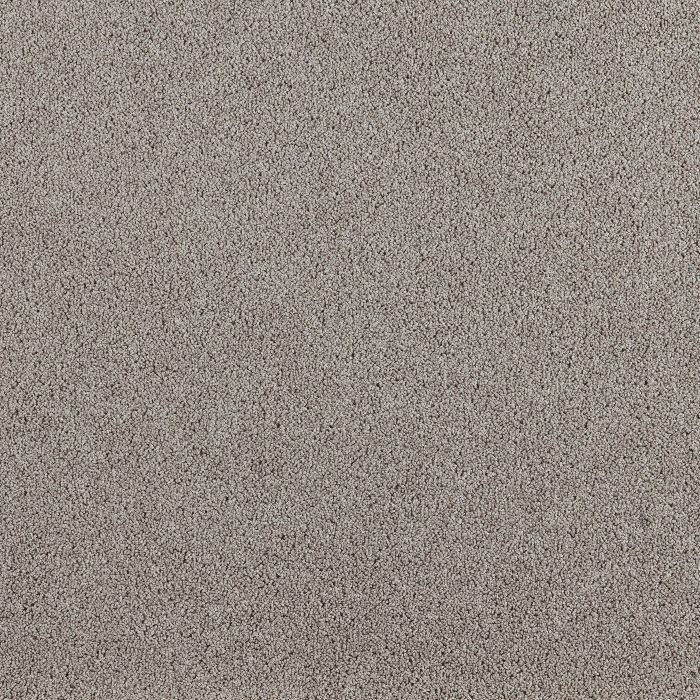 Prestige 65320
