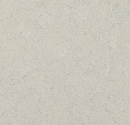 3860/386035 silver shadow *