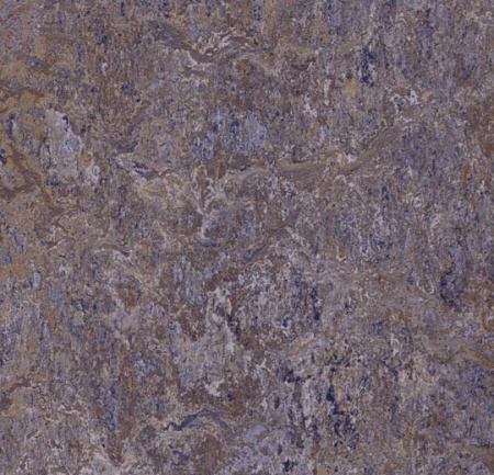 3422 lavender field