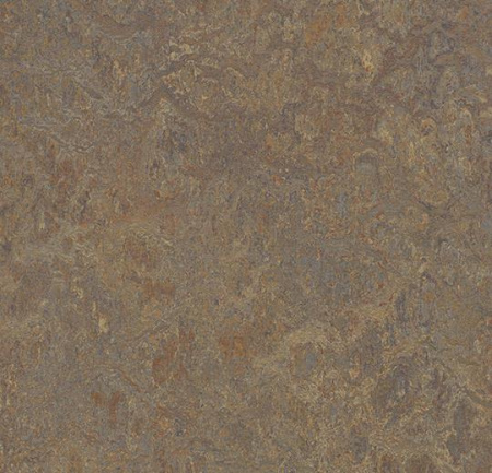 3426/342635 cork tree