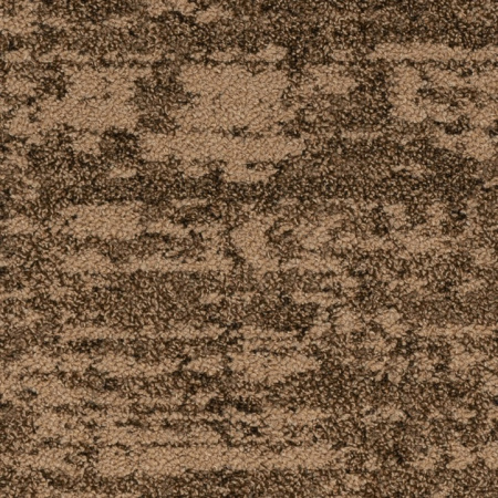 Bruut 733