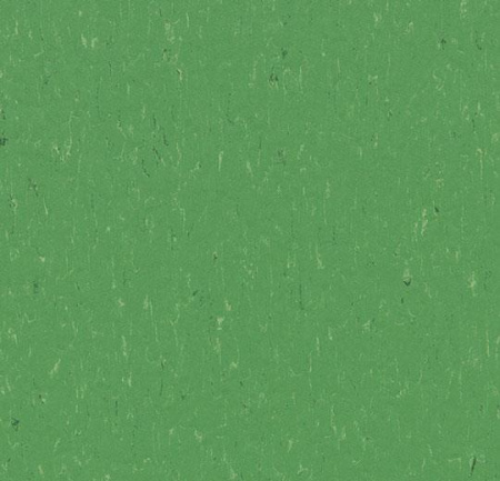 3647/364735 nettle green