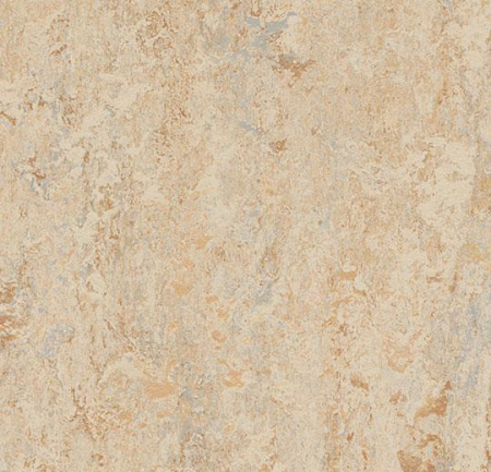 303835 Caribbean