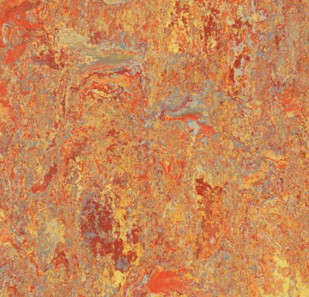 3403 Asian tiger
