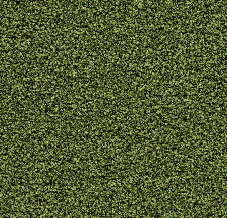 2608 fresh grass