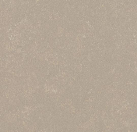 370835 fossil