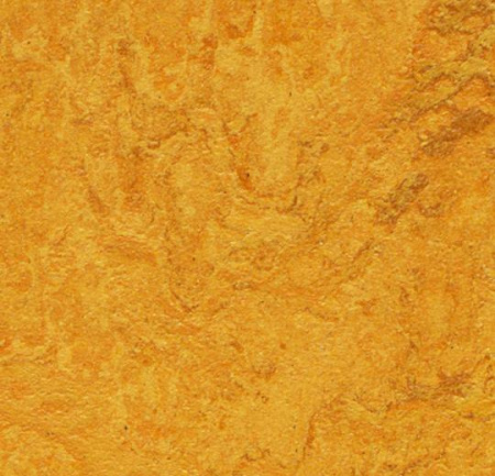 312535 golden sunset