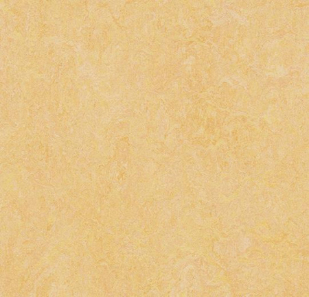 3846/384635 natural corn