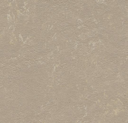 3708 fossil