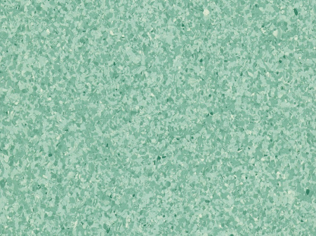 Wild mint
