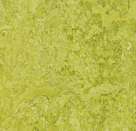 322435 chartreuse