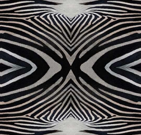 Flotex  vision  image 000402