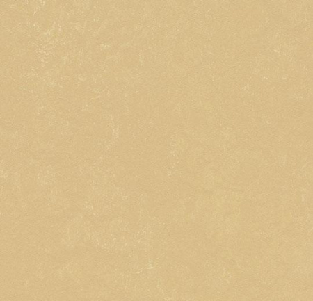 3726/372635 Venus