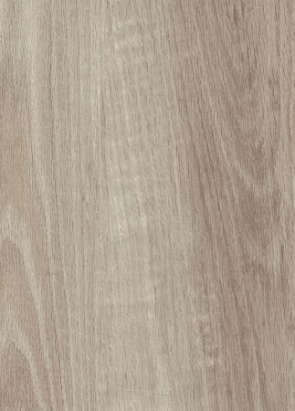 3101 CASHMERE OAK