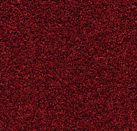 2603 vivid earth