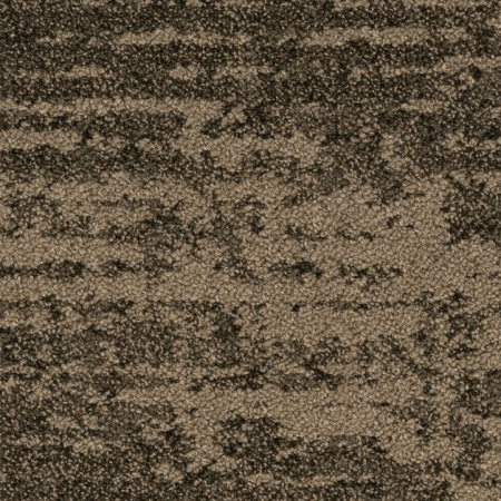 Bruut 685
