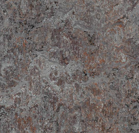 3421 oyster mountain