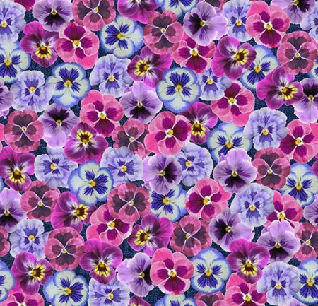 Flotex  vision  image 000410