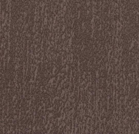 Flotex Colour s445026