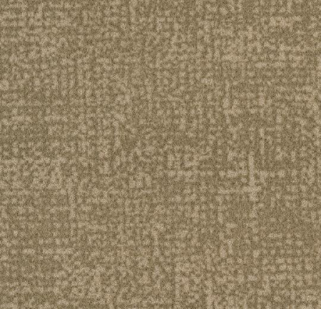 Flotex Colour s246012