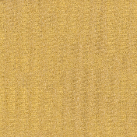Teak 159