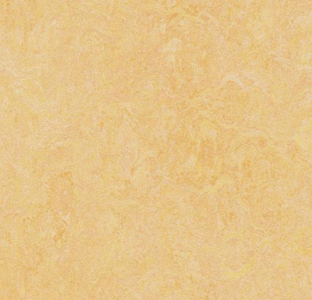 3846 natural corn