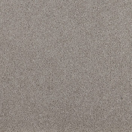 Prestige 65320