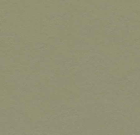3355/335535 rosemary green
