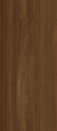 3316 SAPELLI