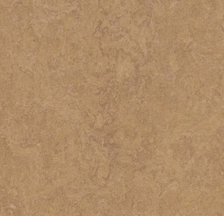 3876 camel