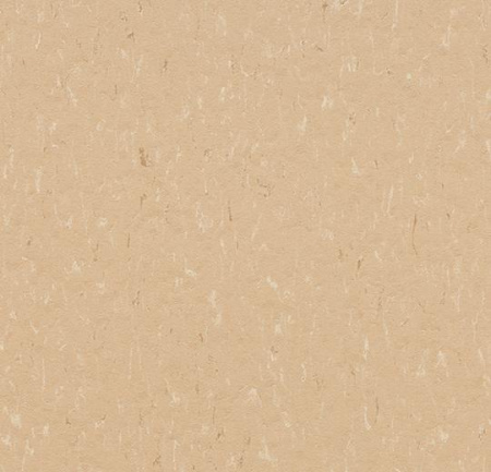 3636 powder