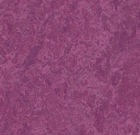 324535 summer pudding