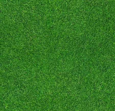 Flotex  vision  image 000369